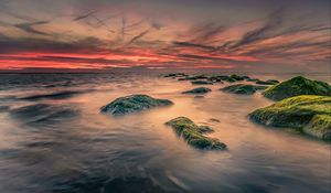 Preview wallpaper sea, stones, moss, landscape, nature