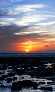 Preview wallpaper sea, stones, sunset, birds