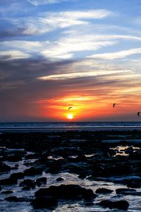 Preview wallpaper sea, stones, sunset, birds