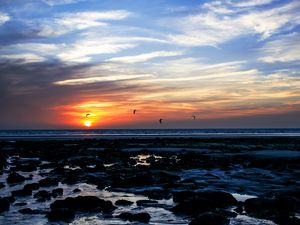 Preview wallpaper sea, stones, sunset, birds