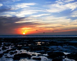 Preview wallpaper sea, stones, sunset, birds