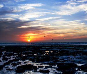 Preview wallpaper sea, stones, sunset, birds