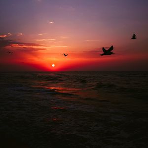 Preview wallpaper sea, sunset, birds