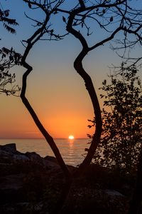 Preview wallpaper sea, sunset, branches, sun, horizon