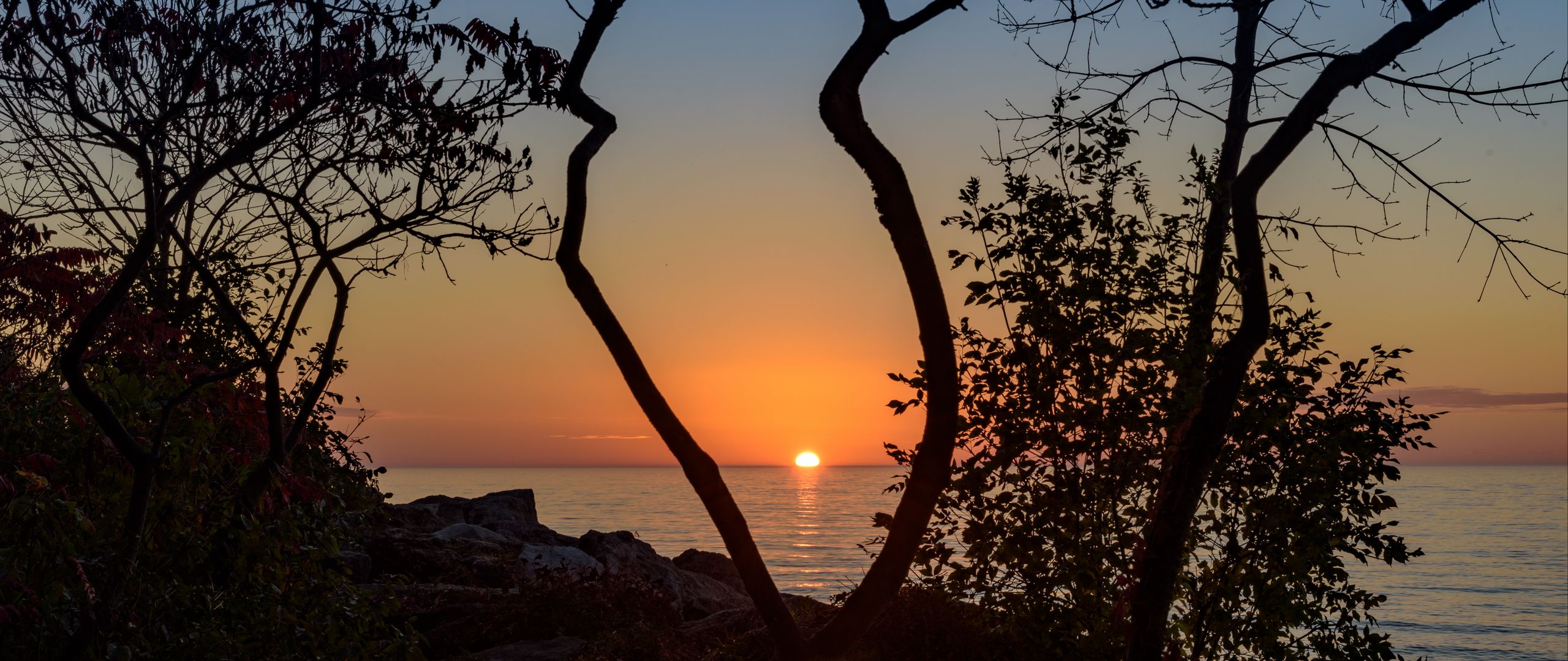 Download wallpaper 2560x1080 sea, sunset, branches, sun, horizon dual