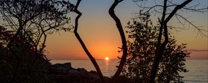 Preview wallpaper sea, sunset, branches, sun, horizon