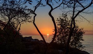Preview wallpaper sea, sunset, branches, sun, horizon
