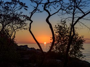 Preview wallpaper sea, sunset, branches, sun, horizon