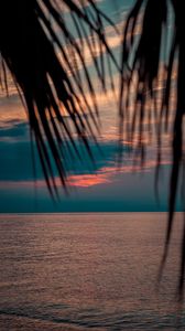 Preview wallpaper sea, sunset, dusk, palms, branches