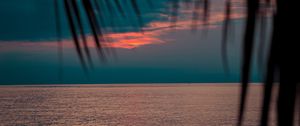 Preview wallpaper sea, sunset, dusk, palms, branches