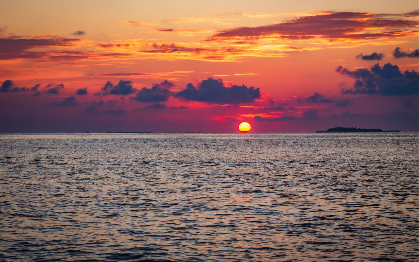 1440x900 Wallpaper sea, sunset, horizon, sky, evening