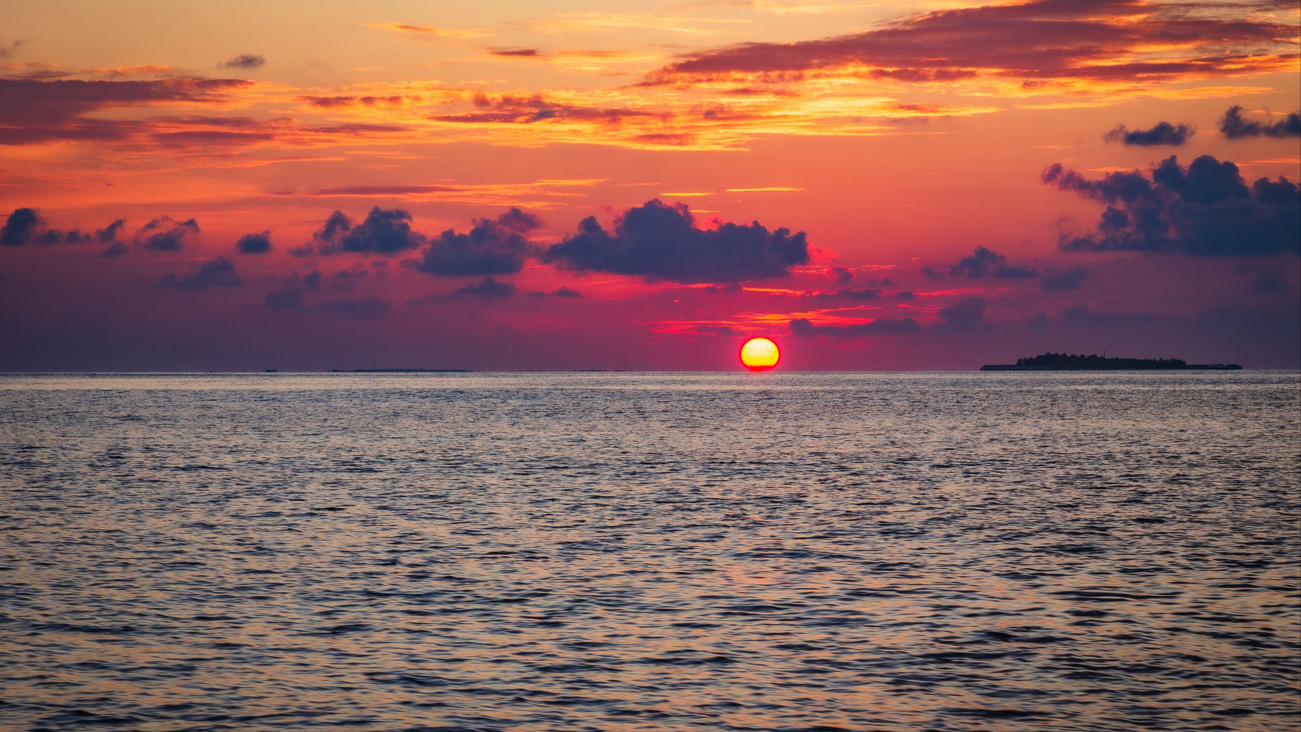 2560x1440 Wallpaper sea, sunset, horizon, sky, evening