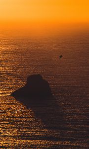 Preview wallpaper sea, sunset, rock, seagull, glare