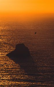 Preview wallpaper sea, sunset, rock, seagull, glare