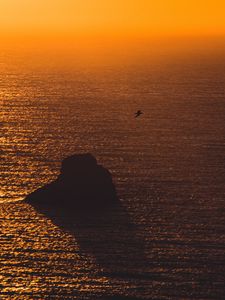 Preview wallpaper sea, sunset, rock, seagull, glare