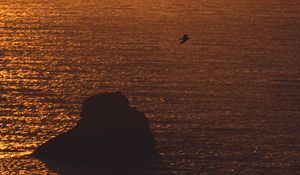 Preview wallpaper sea, sunset, rock, seagull, glare