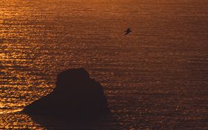 Preview wallpaper sea, sunset, rock, seagull, glare