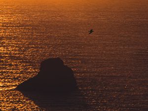 Preview wallpaper sea, sunset, rock, seagull, glare