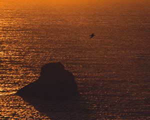 Preview wallpaper sea, sunset, rock, seagull, glare