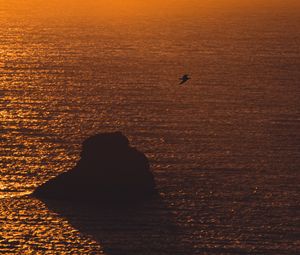 Preview wallpaper sea, sunset, rock, seagull, glare