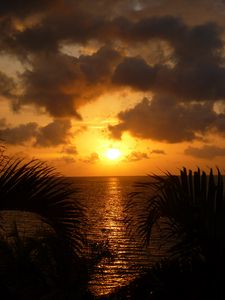 Preview wallpaper sea, sunset, twilight, sun, reflection, leaves, clouds