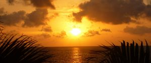 Preview wallpaper sea, sunset, twilight, sun, reflection, leaves, clouds