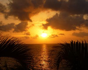 Preview wallpaper sea, sunset, twilight, sun, reflection, leaves, clouds