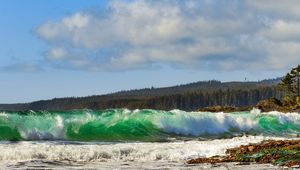 Preview wallpaper sea, surf, foam, shore