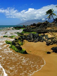 Preview wallpaper sea, surf, sand, trees