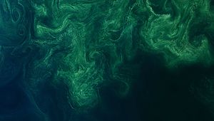 Preview wallpaper sea, surface, aerial view, waves, abstraction