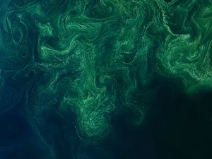 Preview wallpaper sea, surface, aerial view, waves, abstraction