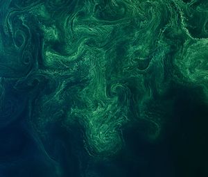 Preview wallpaper sea, surface, aerial view, waves, abstraction