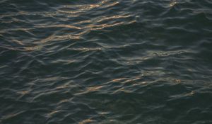 Preview wallpaper sea, surface, ripples, dark