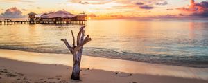 Preview wallpaper sea, tree, bungalow, sunset