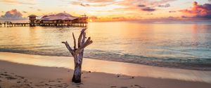 Preview wallpaper sea, tree, bungalow, sunset