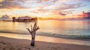 Preview wallpaper sea, tree, bungalow, sunset