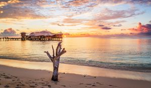 Preview wallpaper sea, tree, bungalow, sunset