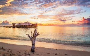 Preview wallpaper sea, tree, bungalow, sunset