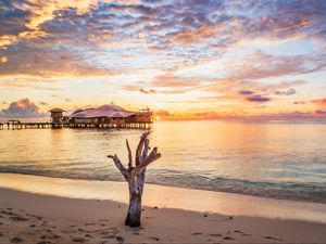 Preview wallpaper sea, tree, bungalow, sunset