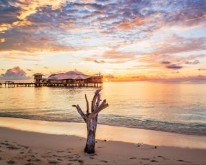 Preview wallpaper sea, tree, bungalow, sunset