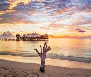 Preview wallpaper sea, tree, bungalow, sunset