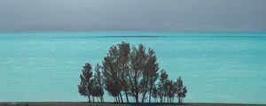 Preview wallpaper sea, trees, clouds, horizon, armenia
