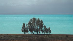 Preview wallpaper sea, trees, clouds, horizon, armenia