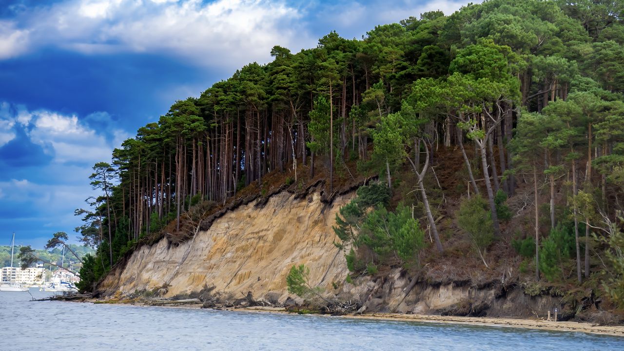 Wallpaper sea, trees, forest, clouds, landscape