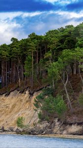Preview wallpaper sea, trees, forest, clouds, landscape