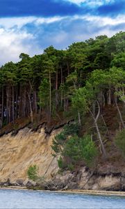 Preview wallpaper sea, trees, forest, clouds, landscape