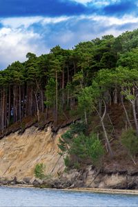 Preview wallpaper sea, trees, forest, clouds, landscape