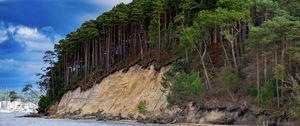 Preview wallpaper sea, trees, forest, clouds, landscape