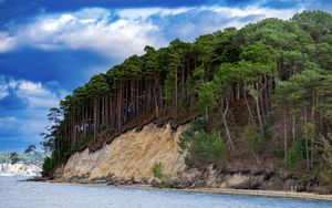 Preview wallpaper sea, trees, forest, clouds, landscape