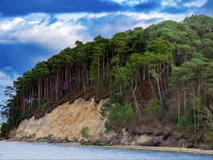 Preview wallpaper sea, trees, forest, clouds, landscape